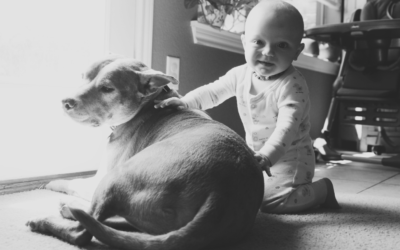 Life with a baby: Week 37 (8.5 months)