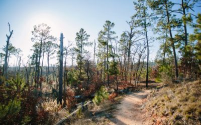 We went to Bastrop State Park (Part 1)